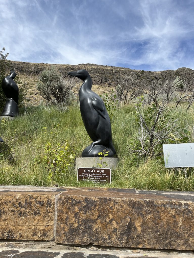 Wildlife Art and the food scene in Jackson Hole WY