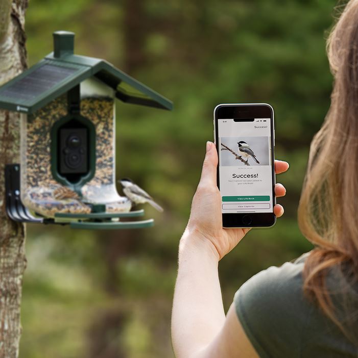 Smart solar-powered bird feeder for those on-the-go