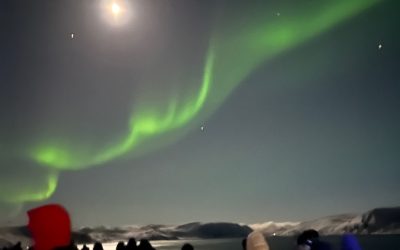 Northern Lights we saw on our recent Hurtigruten expedition in Norway