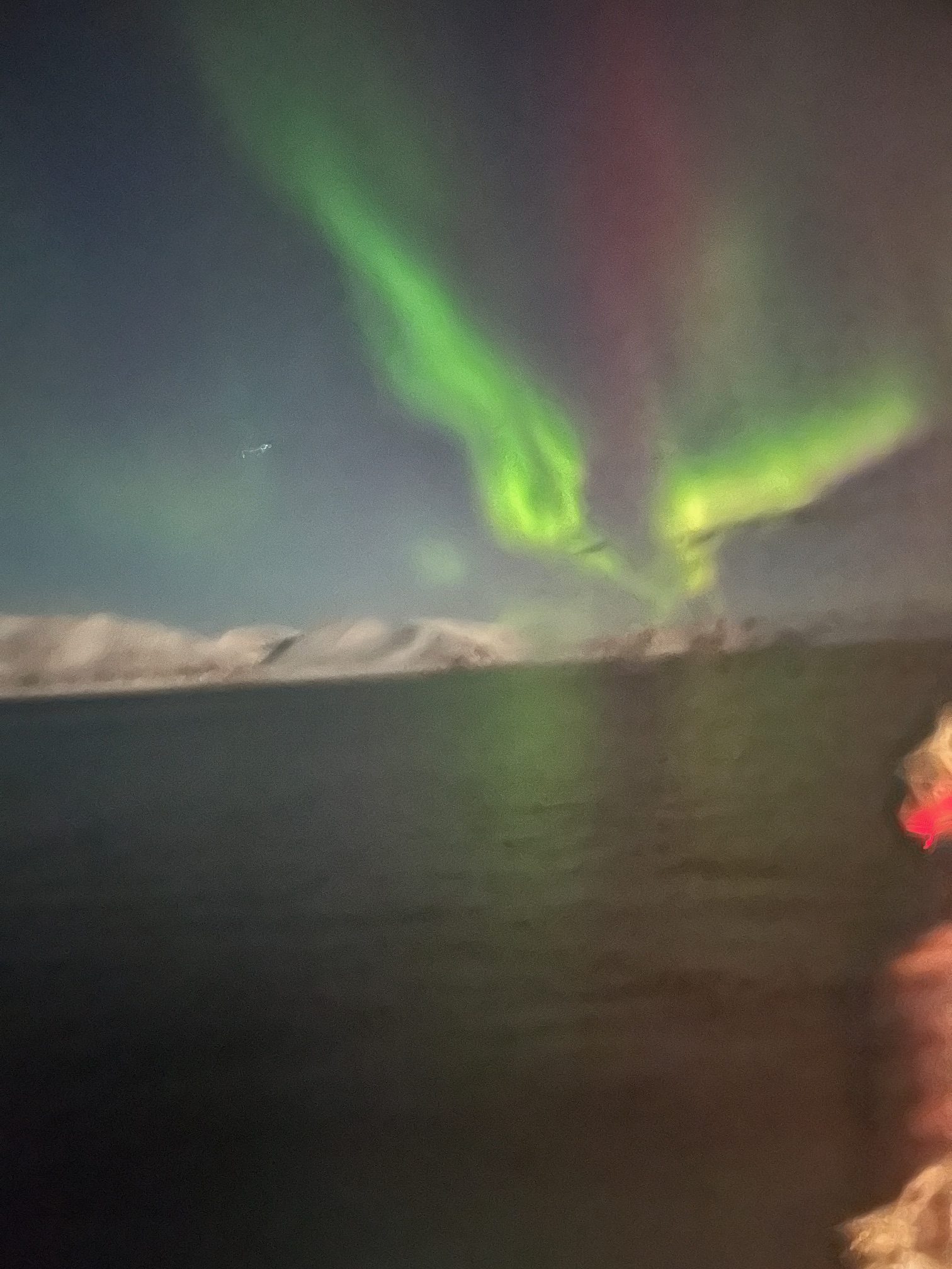 One of the many views of the Northern Lights we experienced aboard MS Trollfjord