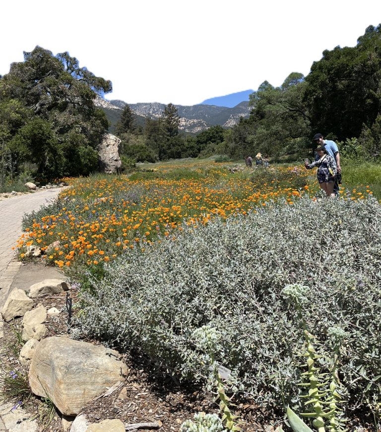 Exploring the beauty of Santa Barbara CA