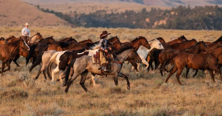 Packing the Perfect Ranch-Ready Gear Bag