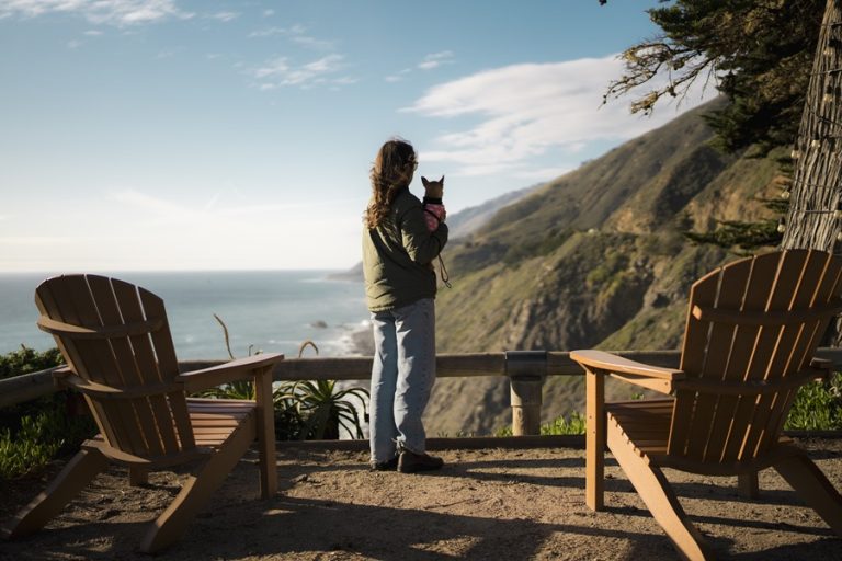 Pet friendly lodging is gaining favor with families