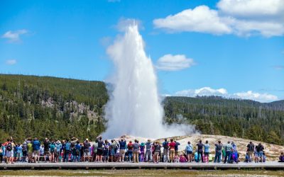 Old Faithful at Yellowstone National Park