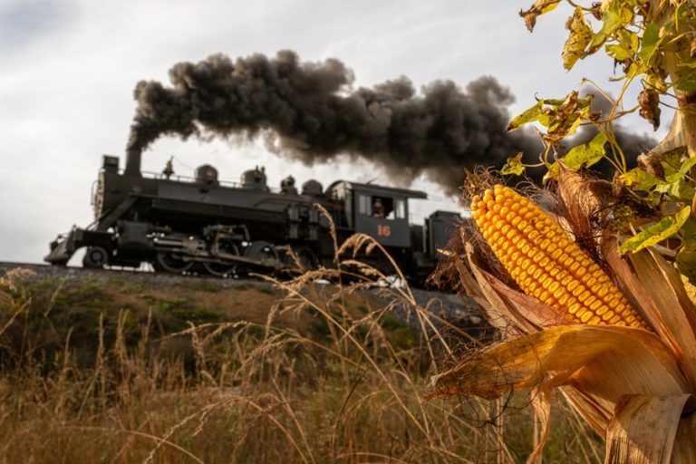 The world is scary enough.  Here’s a fun fall Pumpkin Patch train ride