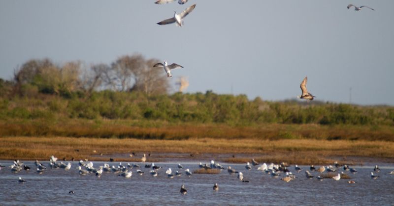 Where Nature Steals the Spotlight