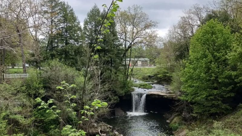 Preservation and Rediscovery