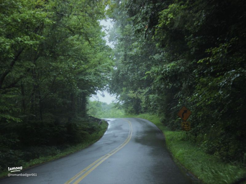 When the Sun Sets, the Fog Rises