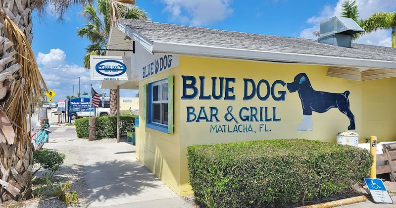 Blue Dog Bar & Grill (Matlacha, Pine Island)