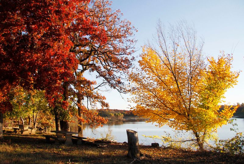 Cross Timbers State Park