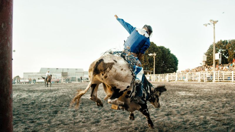 Currituck Bulls & BBQ