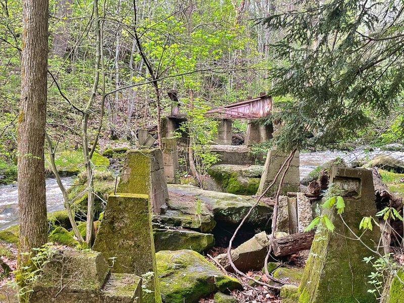 Nature Takes Back the Midway