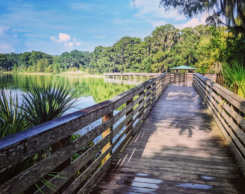 Palm Island Park Boardwalk