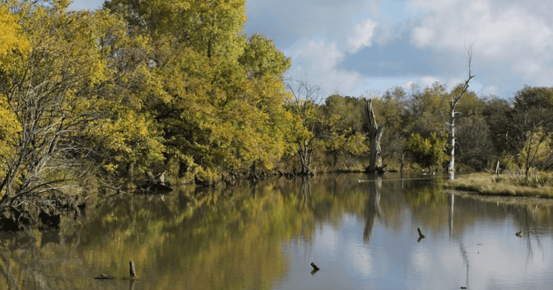 Great Plains Nature Center