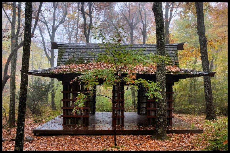 Hidden Japanese Garden