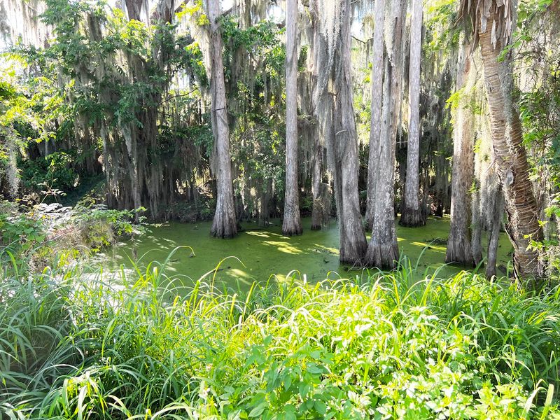 Outdoor Escapes and Natural Beauty on a Budget