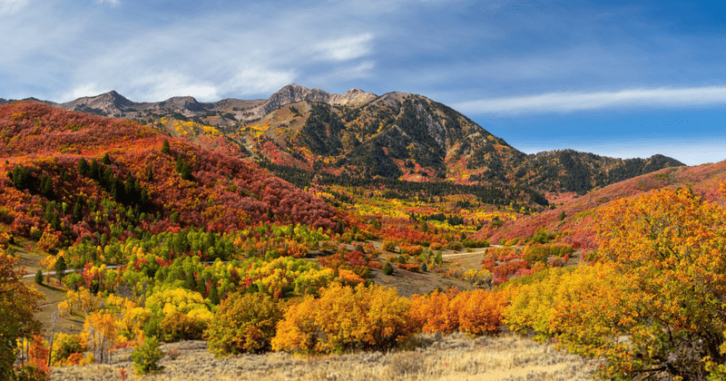 Konza Prairie Nature Trails