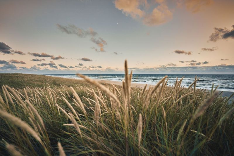 A Hidden Community That Values Preservation Over Promotion