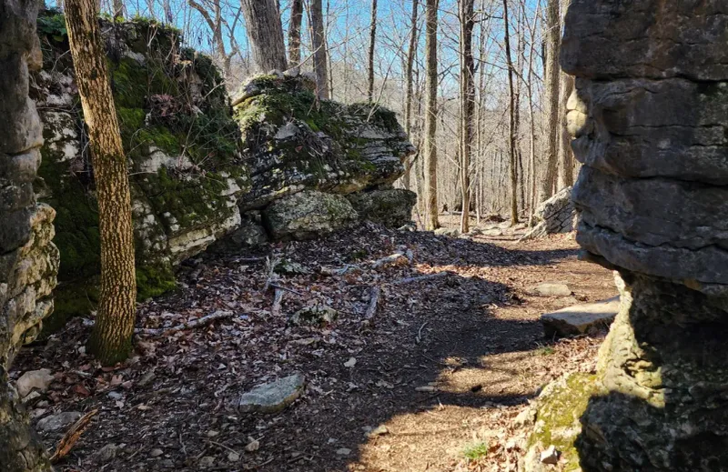 Mysterious Stone Cuts