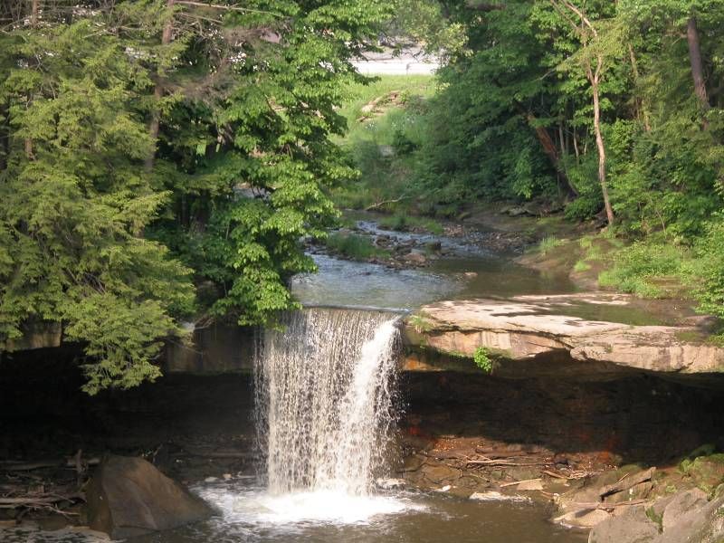 The Resilient Heart: Big Run Falls and the Gorge