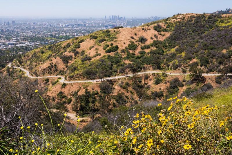 Runyon Canyon Park