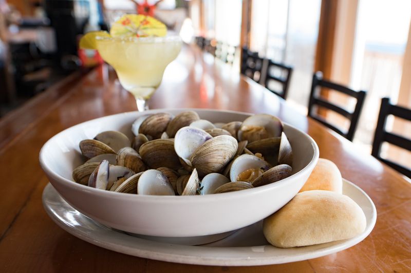 Steamers Clam Bar & Grill (Cedar Key)