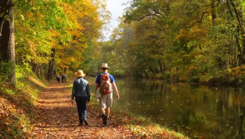 Serenity Along The Delaware Canal Towpath