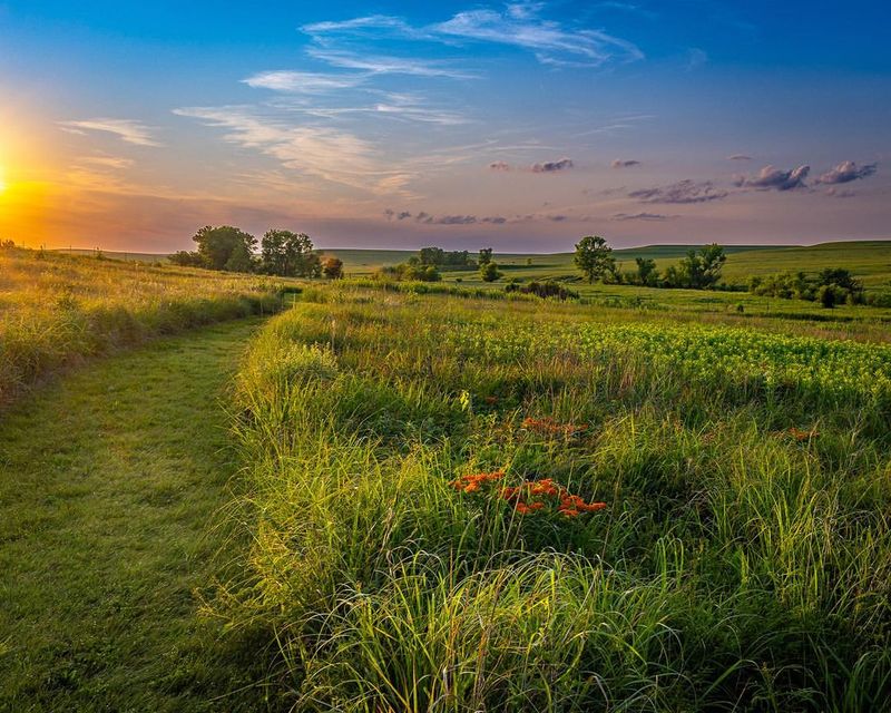 Tallgrass Prairie National Preserve