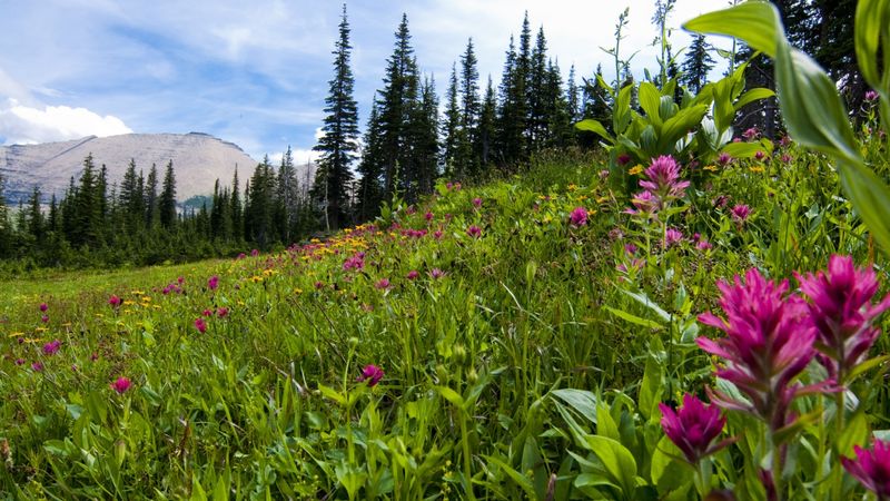 Nature Untouched, Silence Unbroken