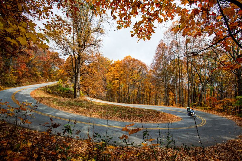 A Favorite of Daredevils and Scenic-Drive Lovers