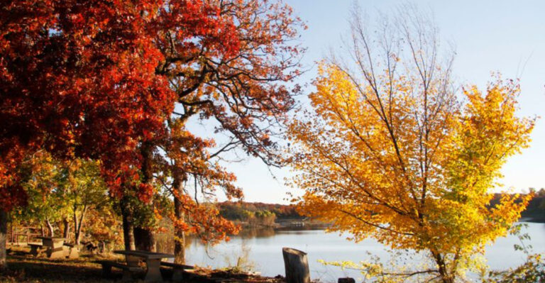 The Best Times And Spots To See Kansas’s Fall Foliage In 2025