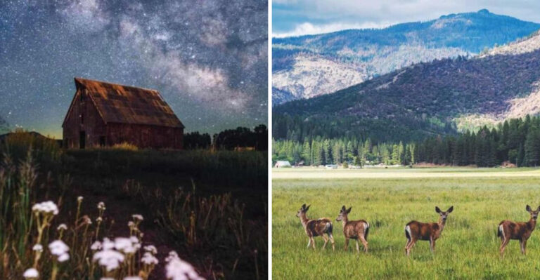 The Lesser-Known California State Park That’s Picture-Perfect