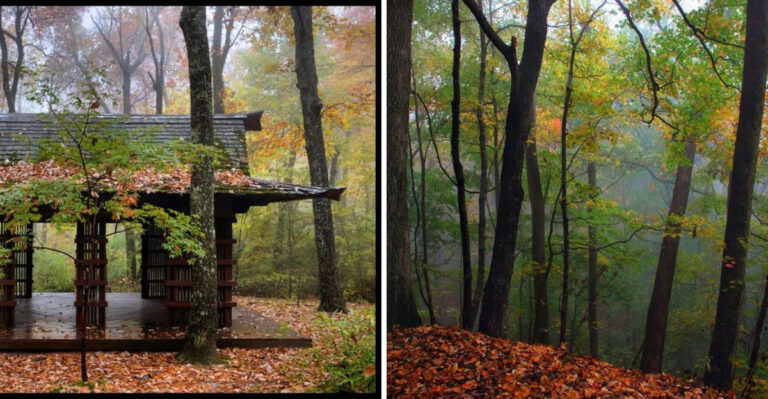 Visit Monte Sano State Park In Alabama For A Fairytale Escape In Autumn