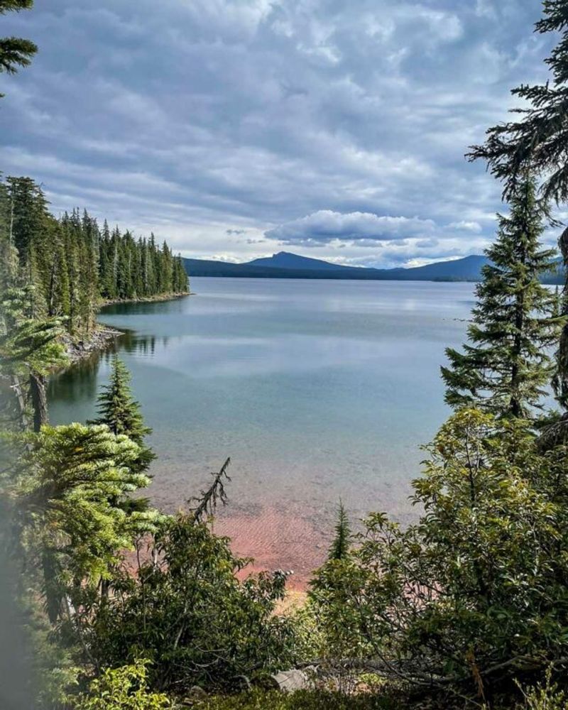 Waldo Lake (Willamette National Forest)