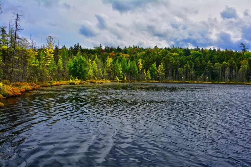 Moss Lake (Eagle Bay)
