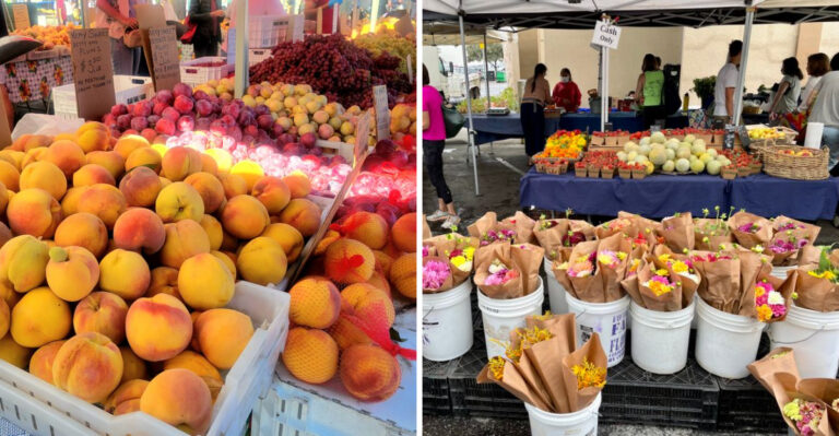 16 California Farmers Market Gems Locals Swear By (But Visitors Rarely Discover)