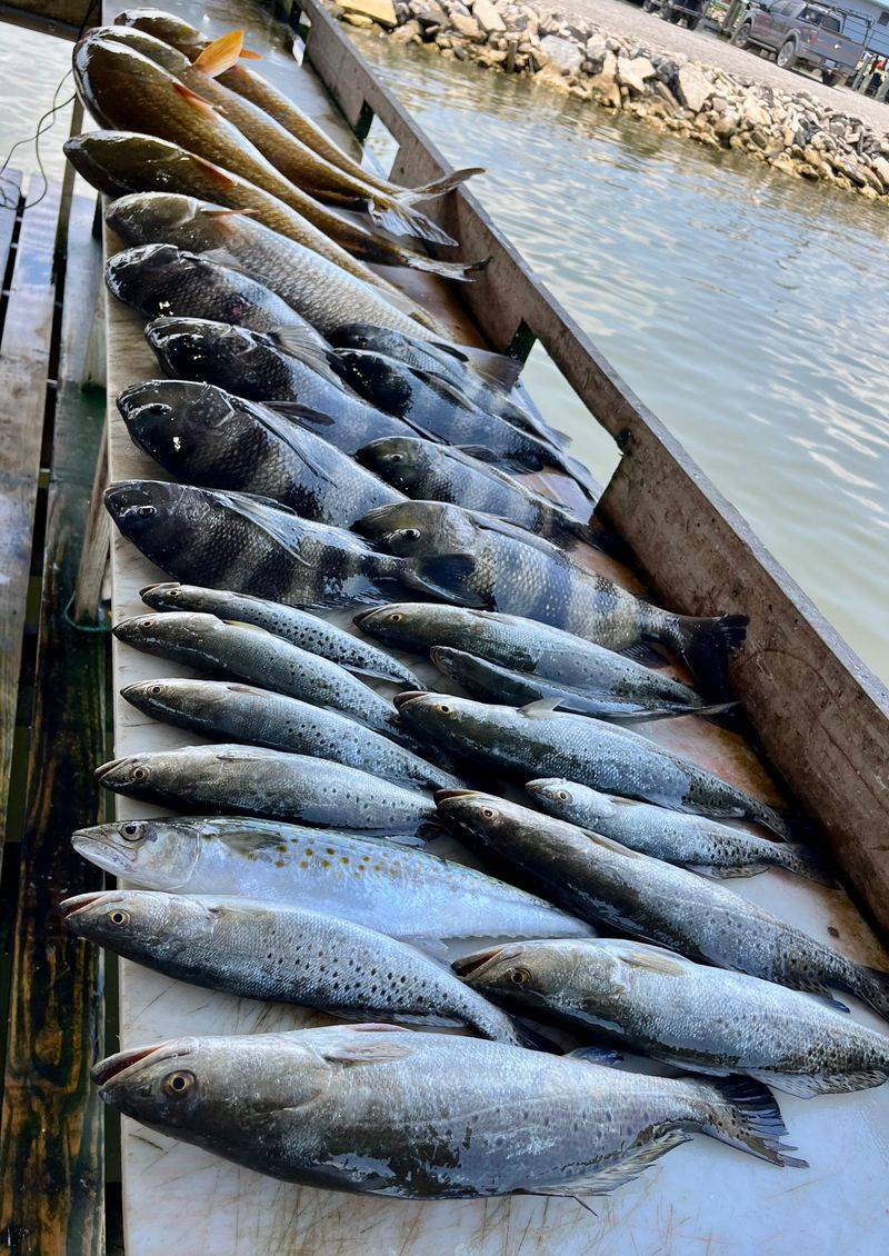 A Fishing Paradise Known As One Of The Best Spots In The Country