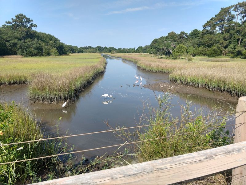 Wildlife Encounters Around Every Corner—Even From Your Bike Seat