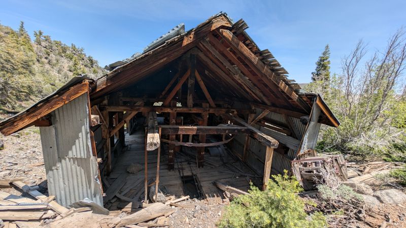 Ranching Roots: The Lifeblood Of Early Belmont