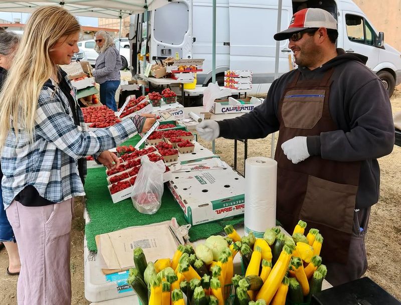 Locally Grown, Locally Shared