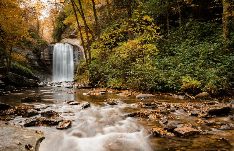 A Photographer's Dream: Capture The Magic Of Looking Glass Falls