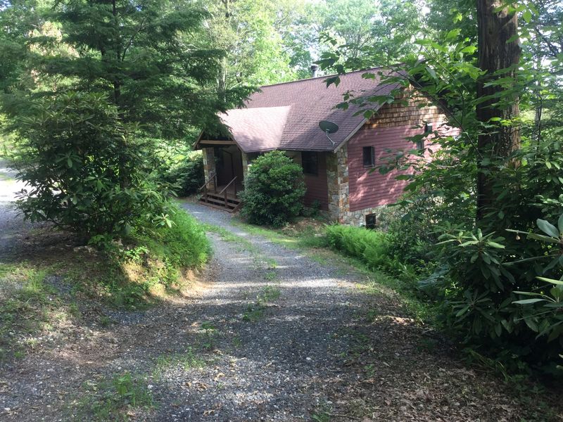 Cabin Life at Its Best: Mornings That Start With Pines and Silence