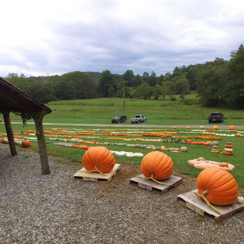 A Real Farm-And-Orchard Community With Seasonal Festivals