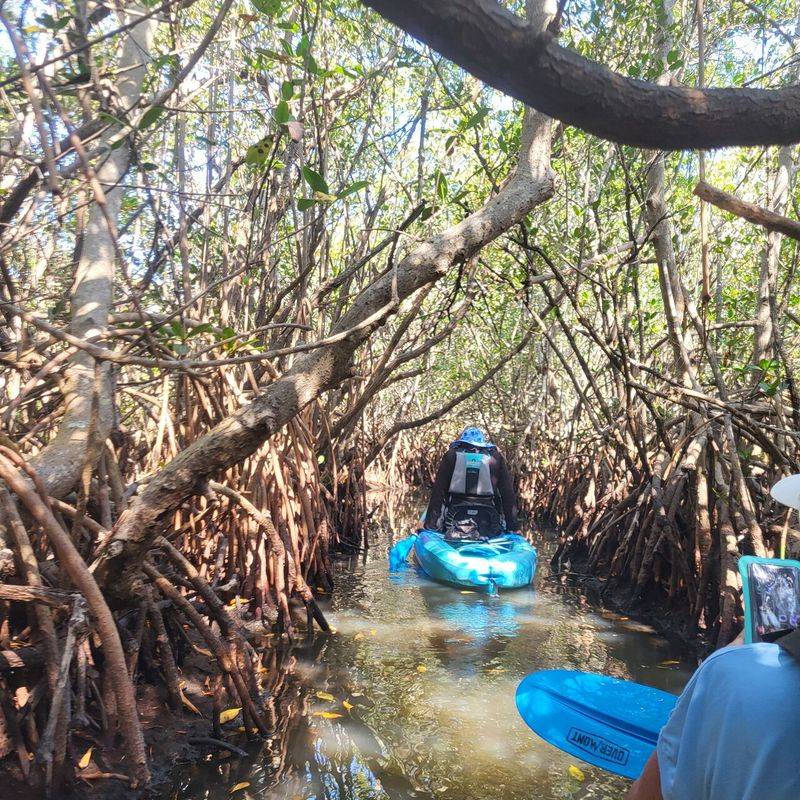 Kayak, Paddleboard, Or Guided Tour — Choose Your Adventure