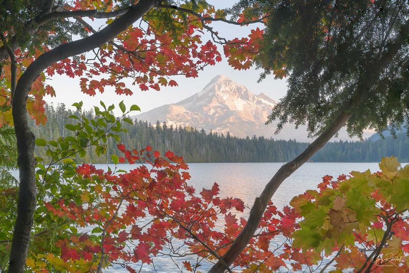 Why Autumn Turns Lost Lake Into a Painter's Dream