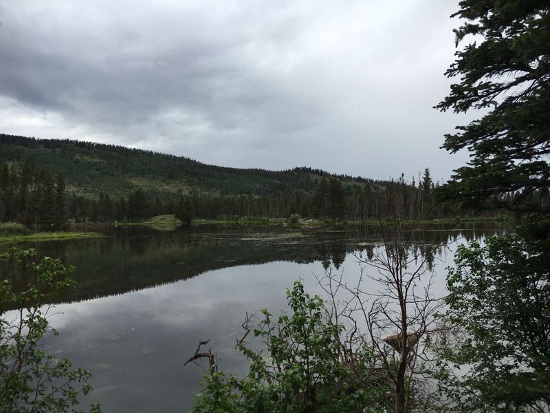 Lean-Tos And Primitive Camping Right On The Waterfront