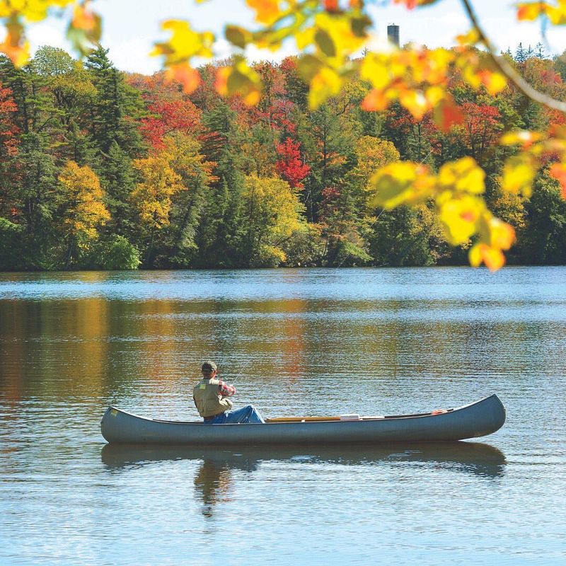 The Laurel Path: A Wooded Trail Circling The Lake For Over 100 Years