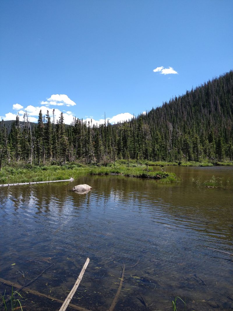 A Snapshot Of What The Adirondacks Looked Like A Century Ago
