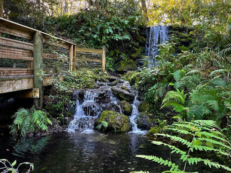 The Hidden Waterfalls of Dunnellon's Spring Paradise