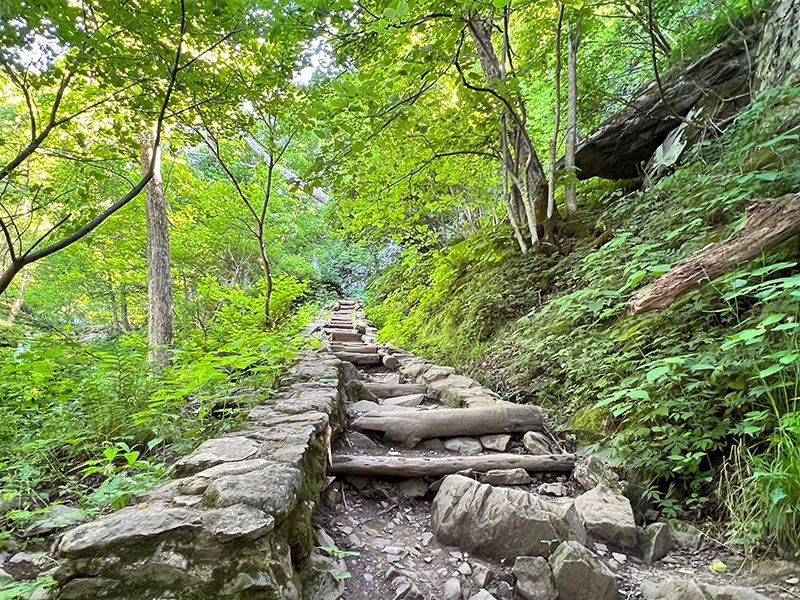 A Short Trail With Big, Movie-Ready Payoff